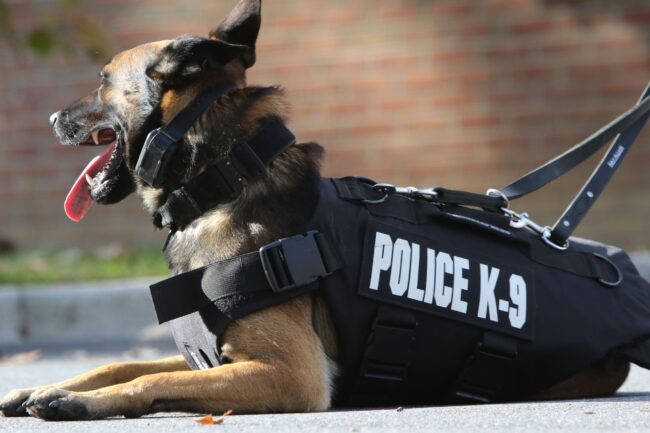 Miami Dade K 9 Unit